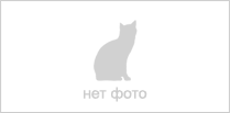 Кресло-кровать "Марс"